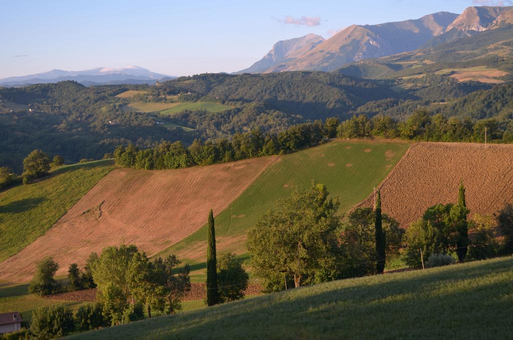 Agriturismo Serpanera 사르나노 외부 사진