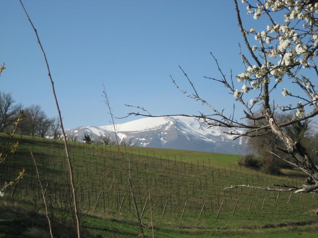 Agriturismo Serpanera 사르나노 외부 사진